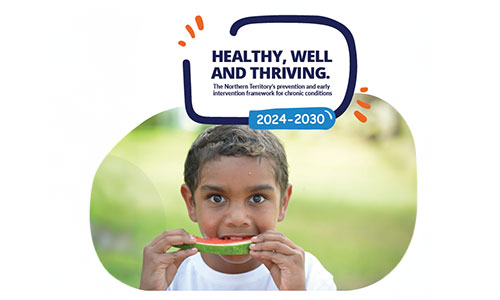 Introducing the Chronic Conditions Framework